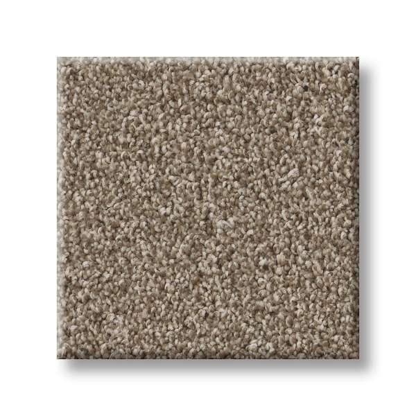Style Good Play III Carpet - Clay Swatch