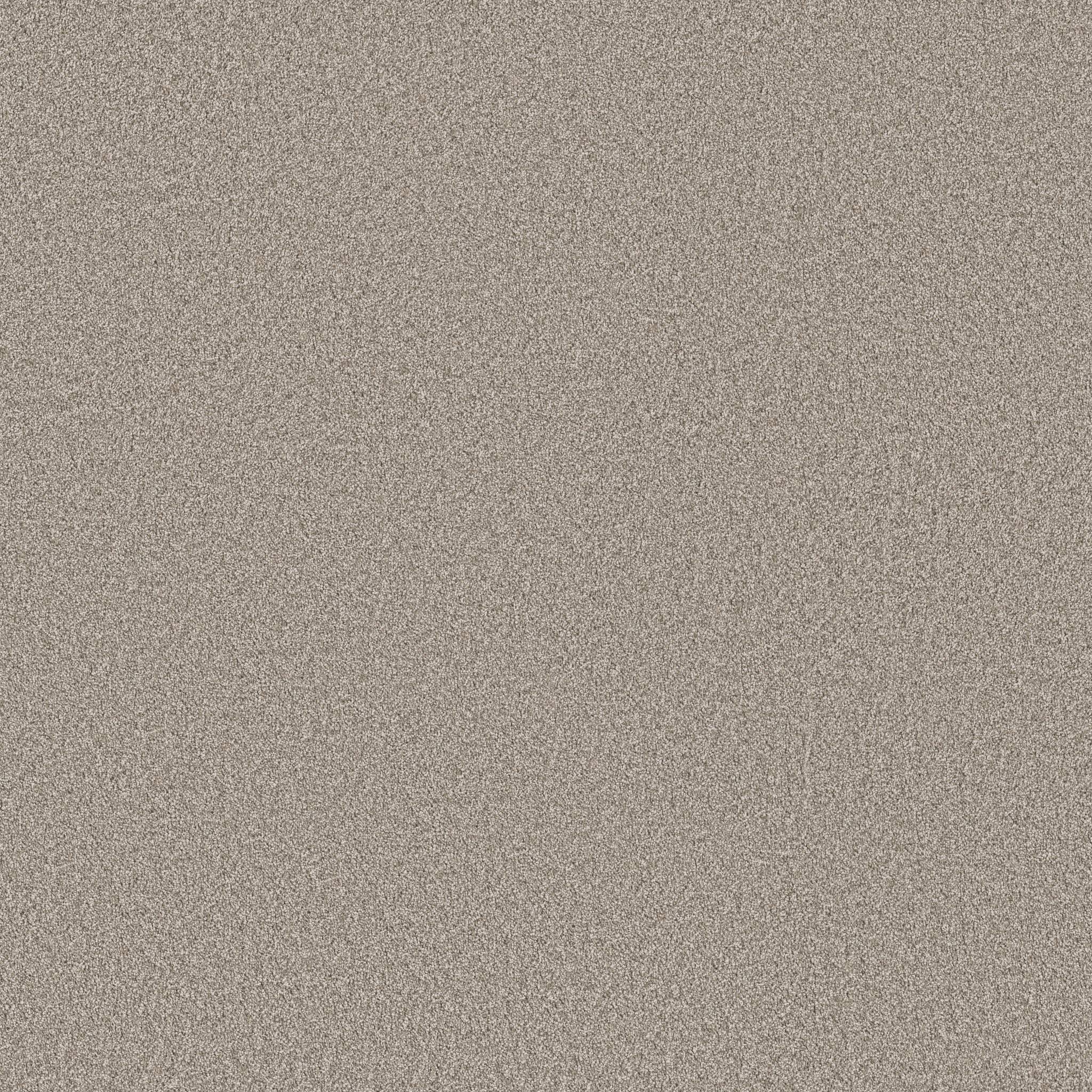 Good Play III Carpet - Granite Dust Zoomed Swatch Image