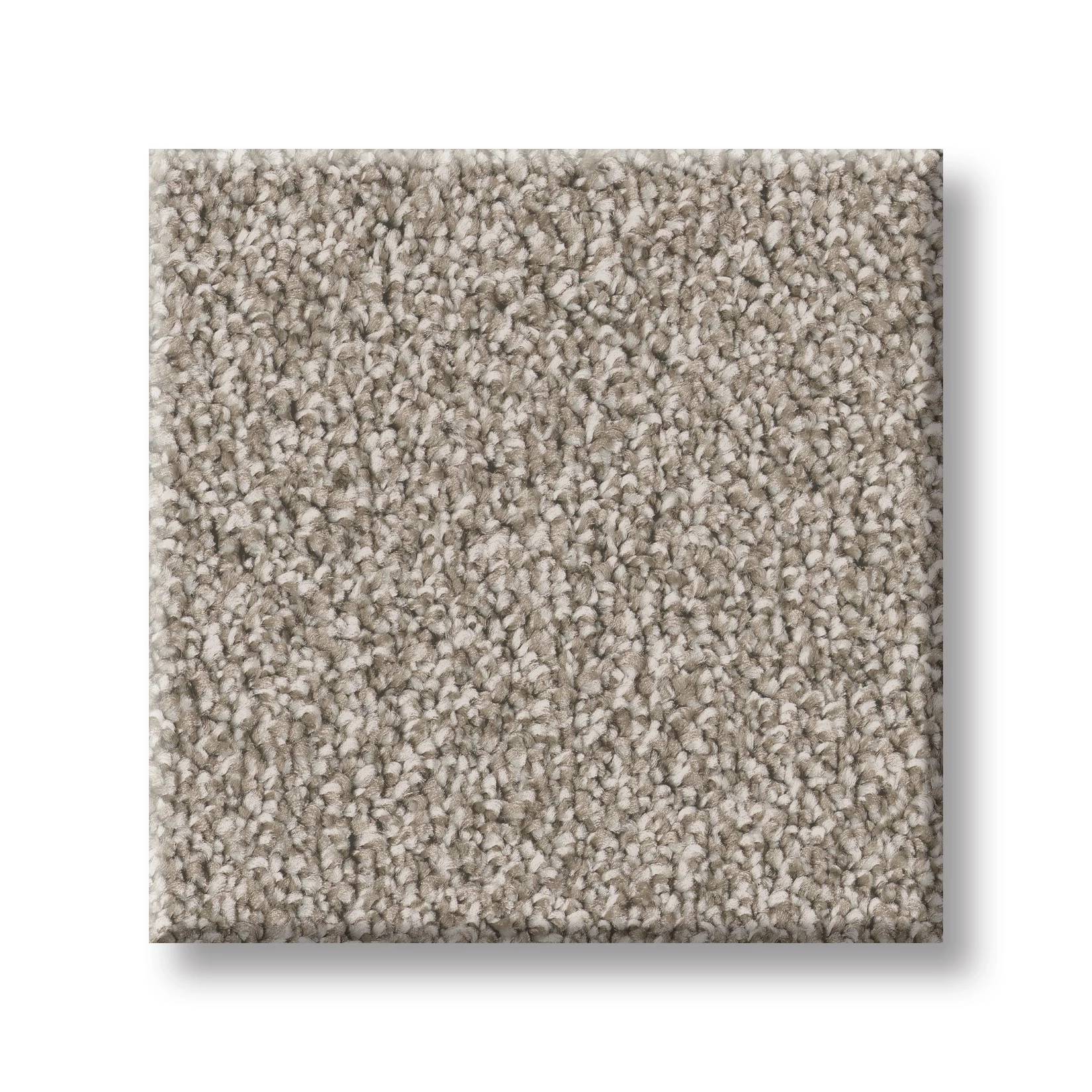 Good Play III Carpet - Granite Dust Swatch Thumbnail pupop1