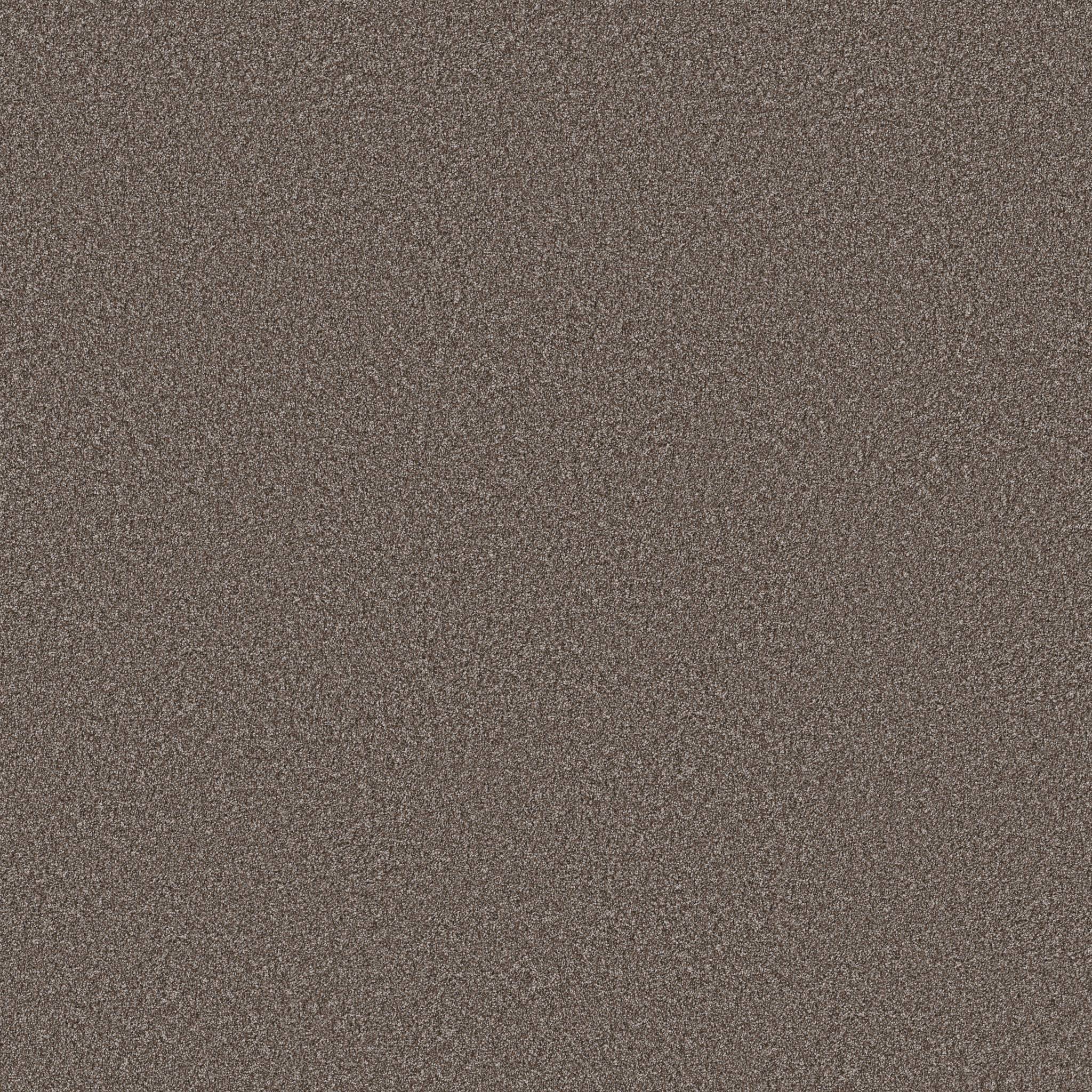 Good Play III Carpet - French Roast Zoomed Swatch Image