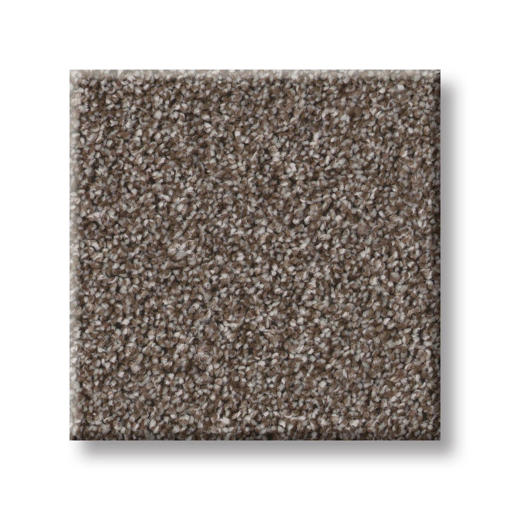 Good Play III Carpet - French Roast Swatch Thumbnail pupop1