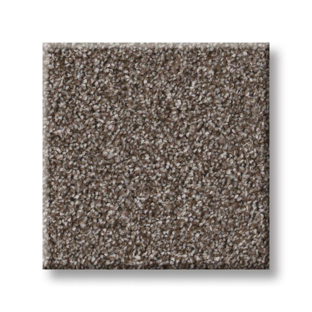Good Play III Carpet - French Roast  Swatch Image 