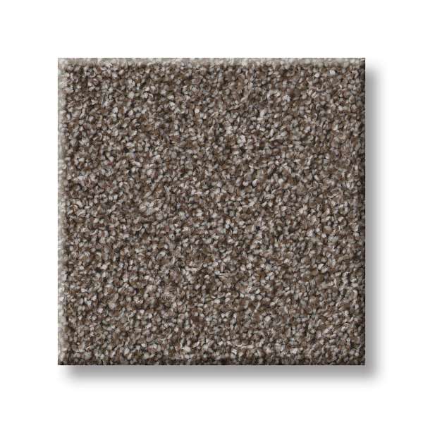 Style Good Play III Carpet - French Roast Swatch