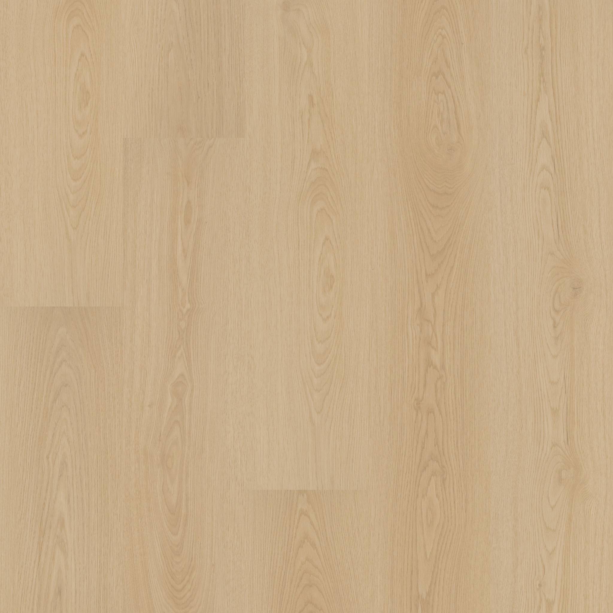 Style Charter Laminate - Birchwood Cream Swatch