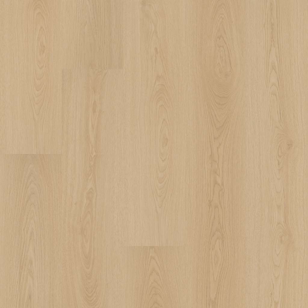 Charter Laminate - Birchwood Cream  Swatch Image 