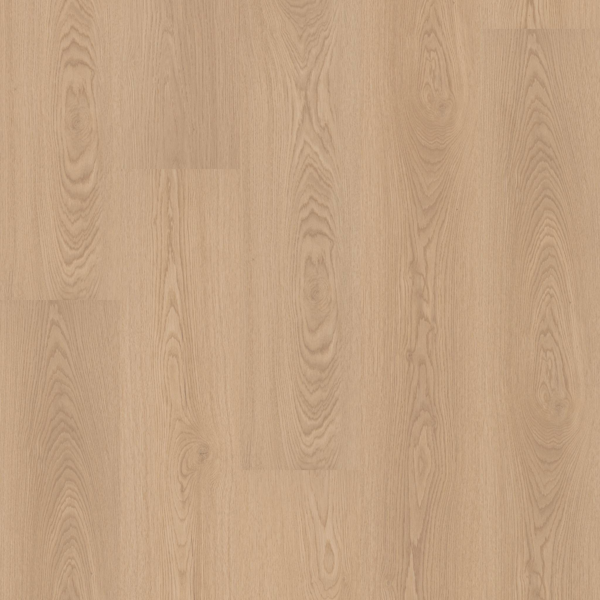 Style Charter Laminate - Desert Sandstone Swatch