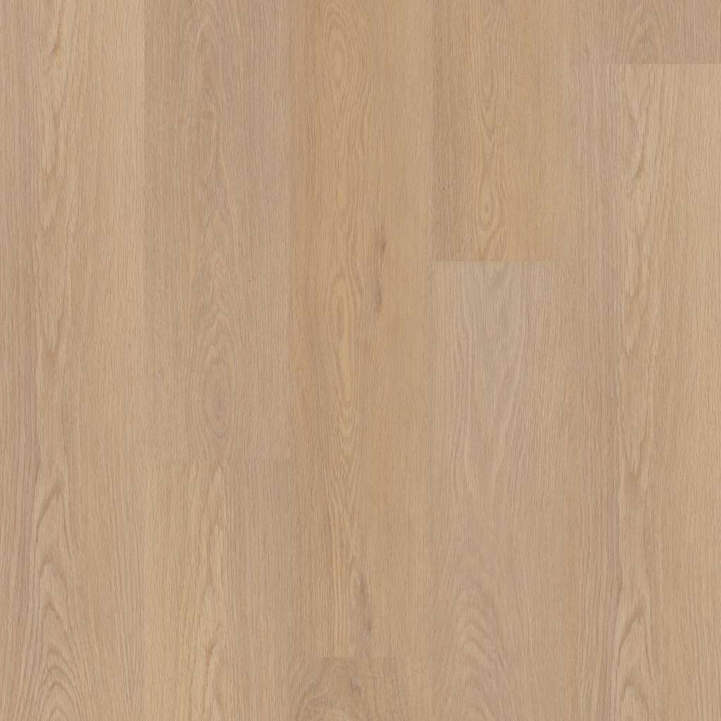 Prestige Plus Vinyl - Timeless Oak  Swatch Image 