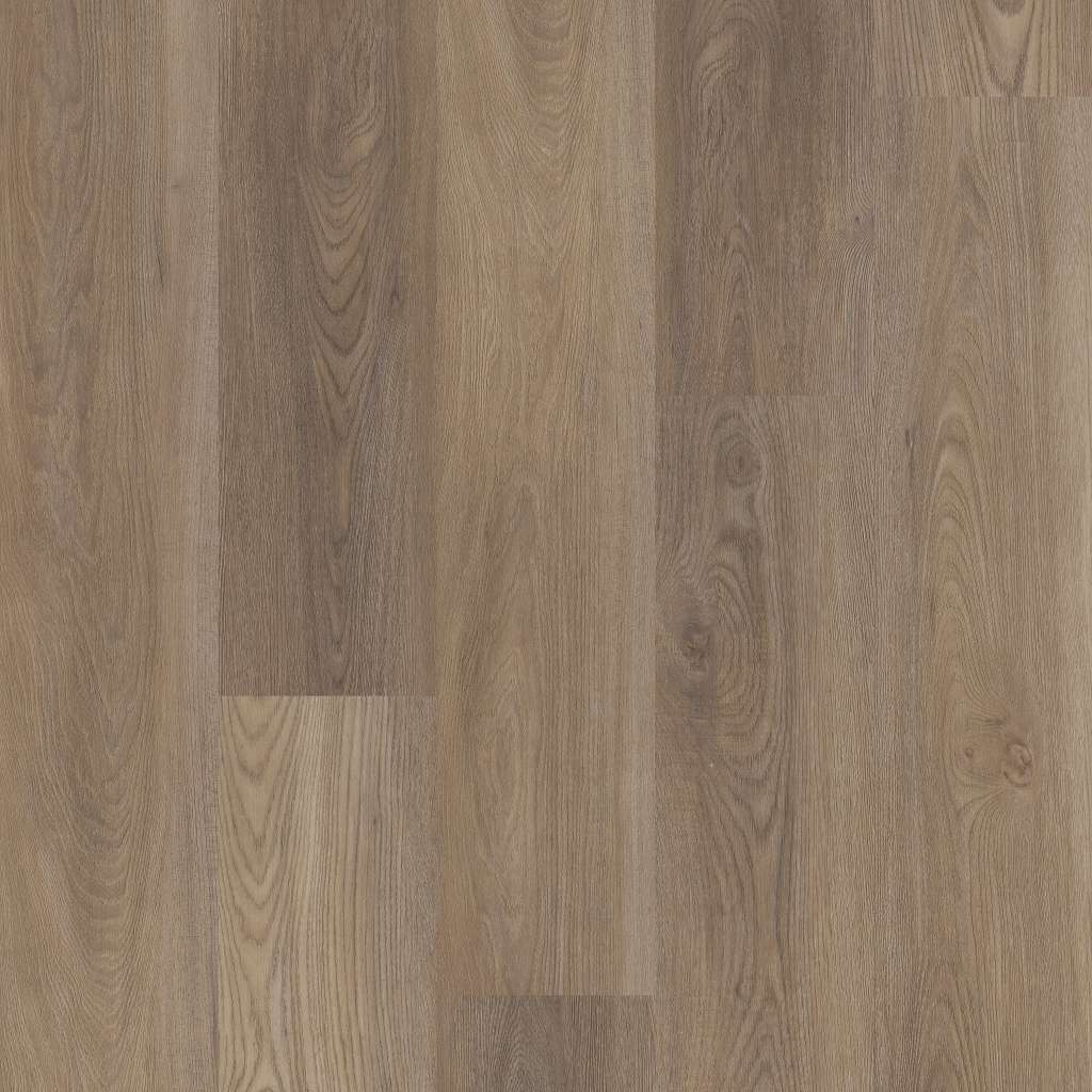 Prestige Plus Vinyl - Ash Oak  Swatch Image 