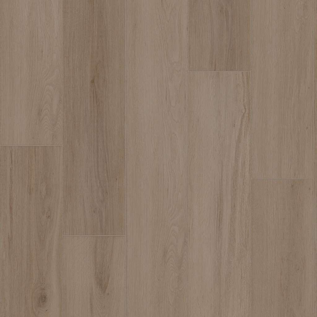 Enterprise Vinyl - Mushroom  Swatch Image 