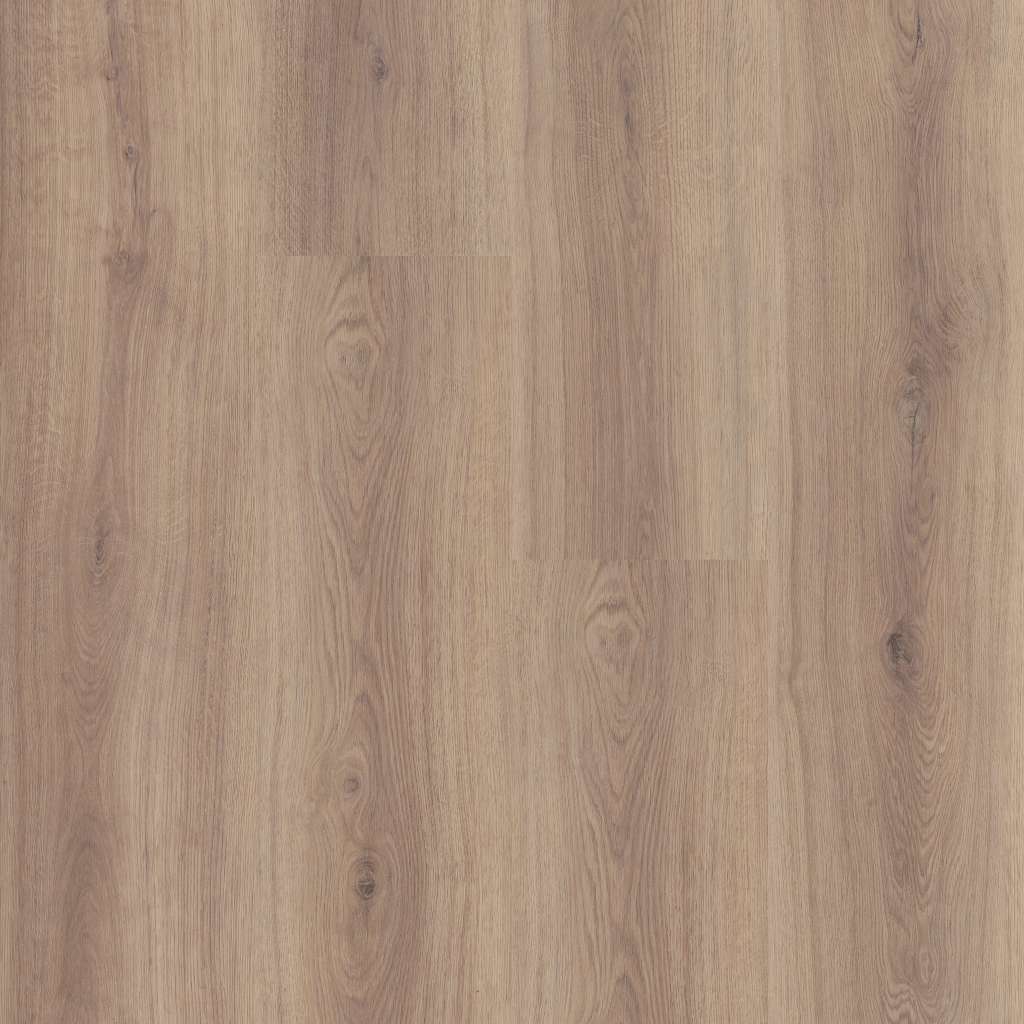 Fortify Vinyl - Feathered Oak  Swatch Image 
