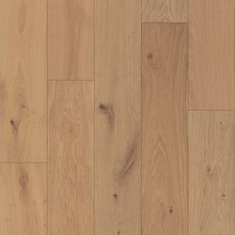 windsor oak smw18 - dynasty