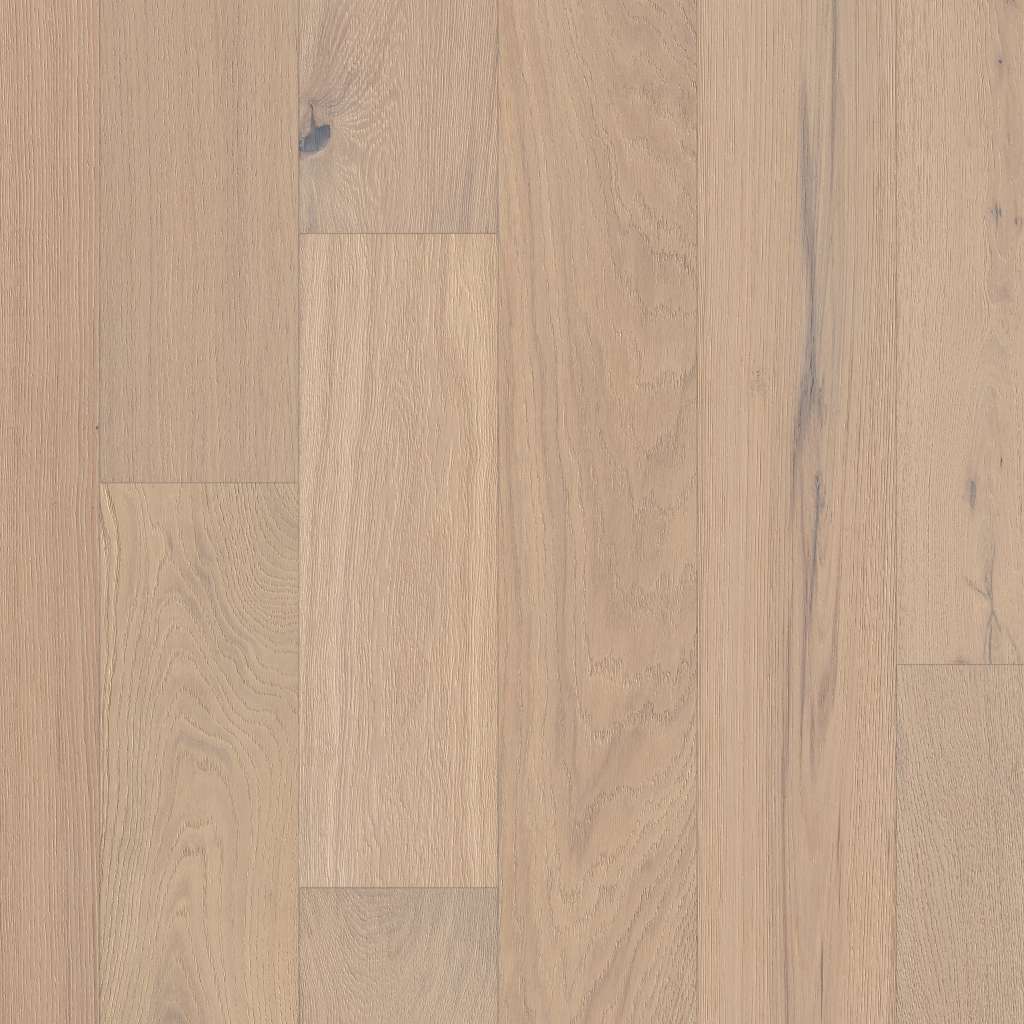 Kingdom Oak Engineered Hardwood - Renaissance  Swatch Image 