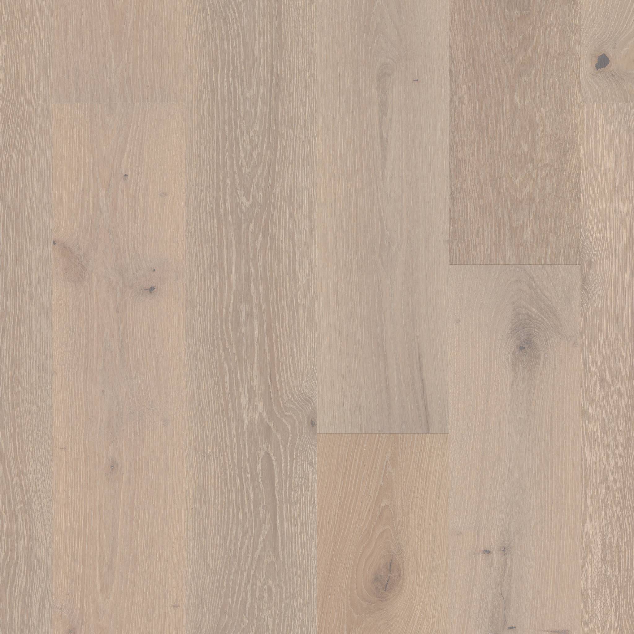 Style Kingdom Oak Engineered Hardwood - Knight Swatch