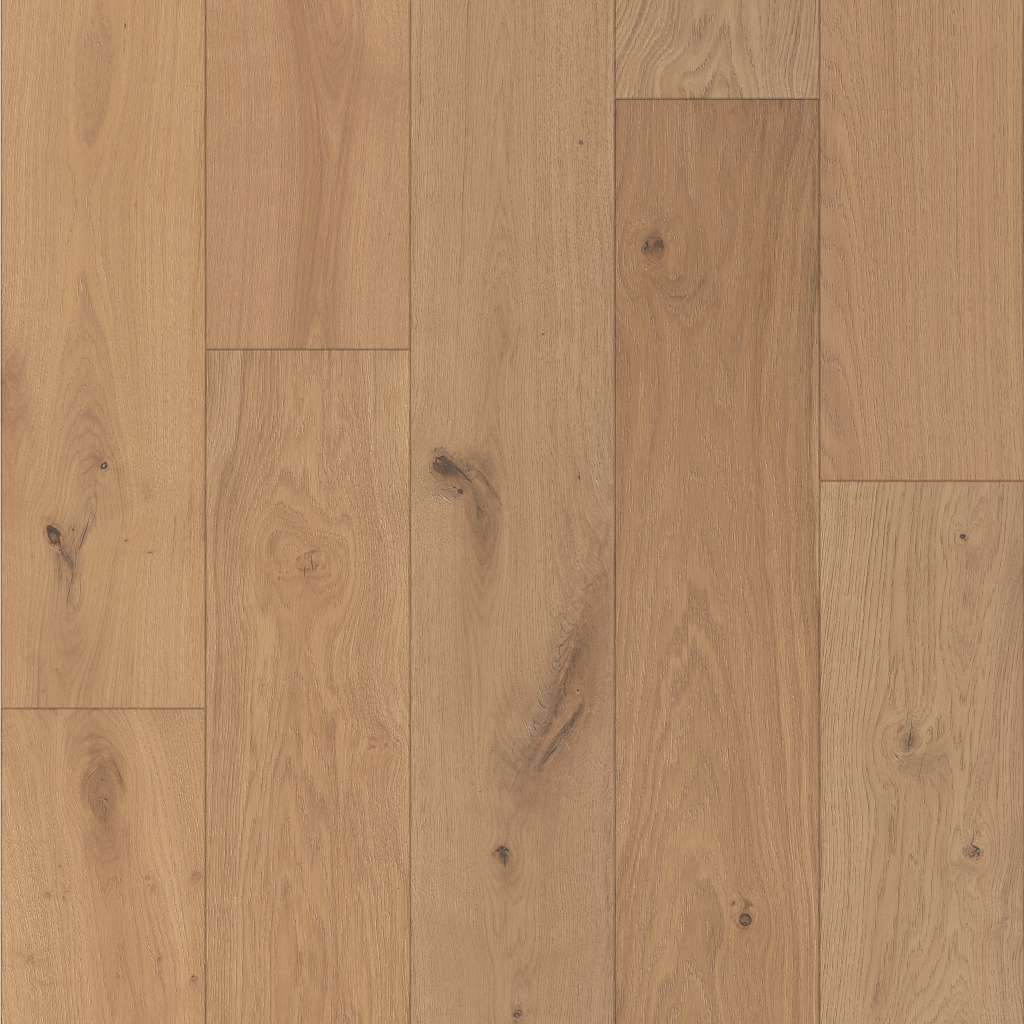 Kingdom Oak Engineered Hardwood - Dynasty  Swatch Image 