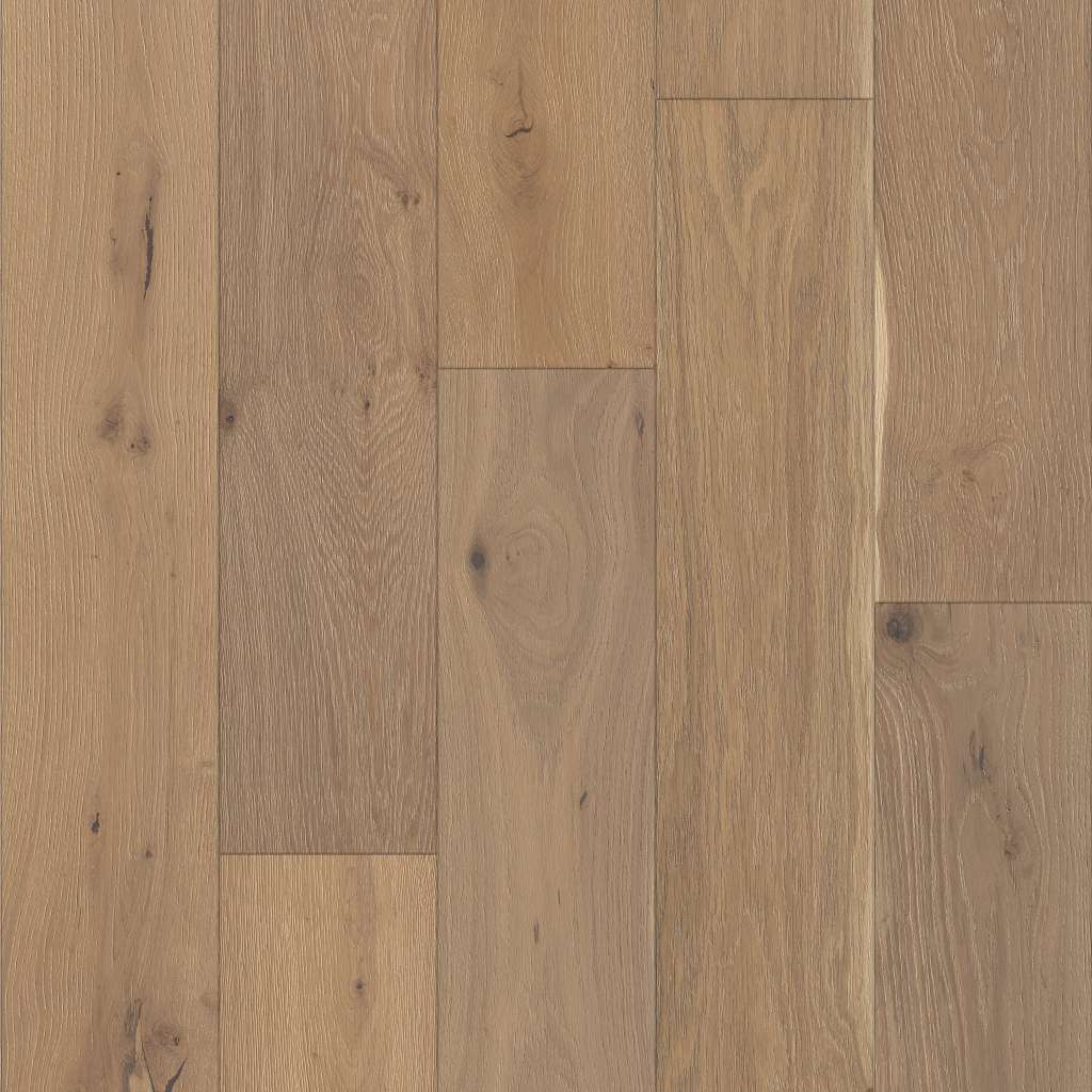 Stylistic Oak Engineered Hardwood - Alla Prima  Swatch Image 