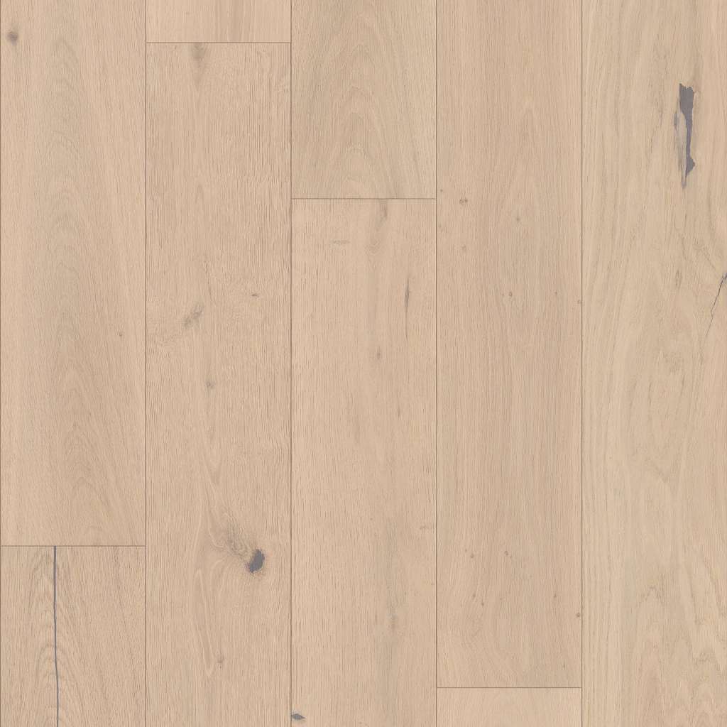 Stylistic Oak Engineered Hardwood - Cadence  Swatch Image 