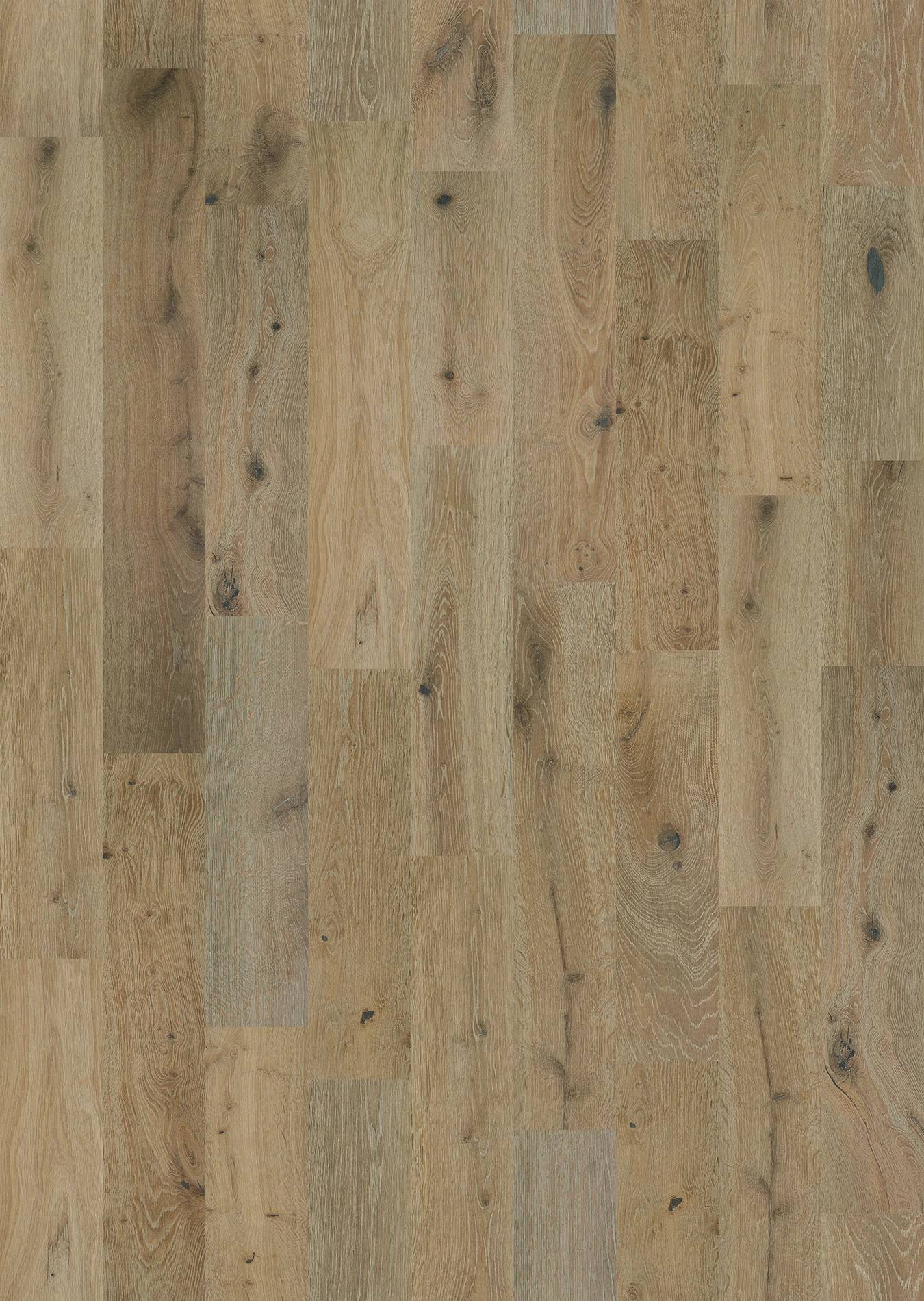 Style Stylistic Oak Engineered Hardwood - Watercolor Swatch