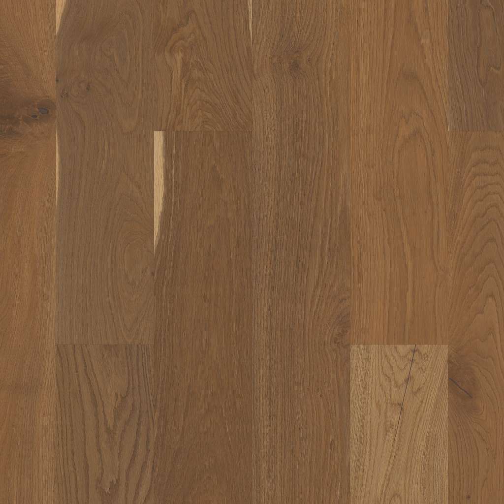 Stylistic Oak Engineered Hardwood - Prose  Swatch Image 