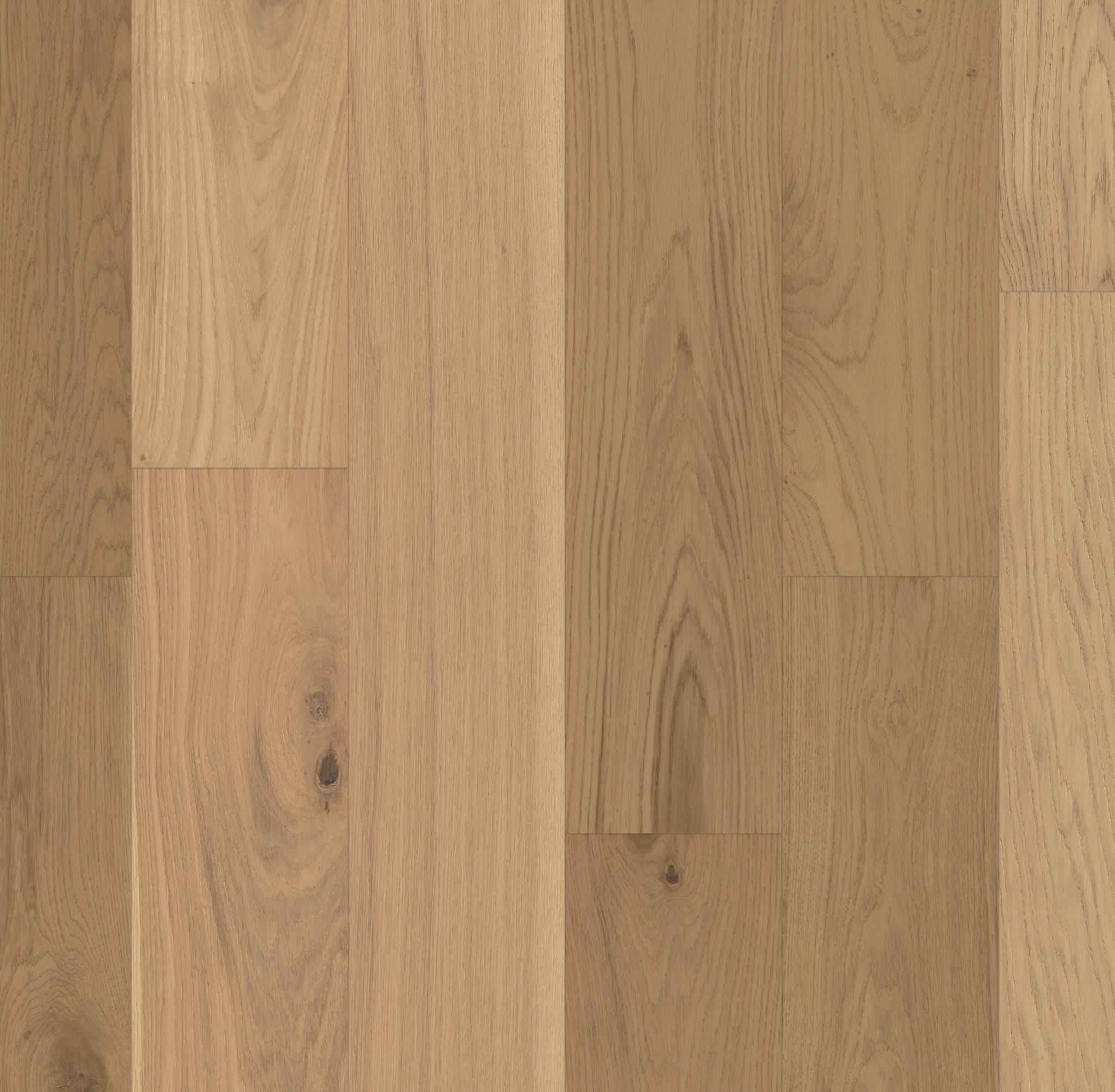 Style Limitless Engineered Hardwood - Endeavor Swatch