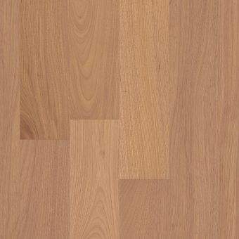 castlewood prime sw739 - crown