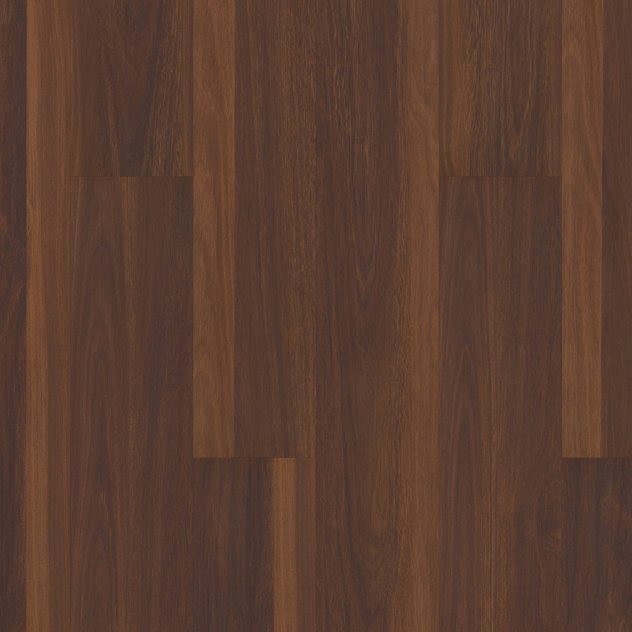 Style Coretec Pro Plus Vinyl - Biscayne Oak Swatch
