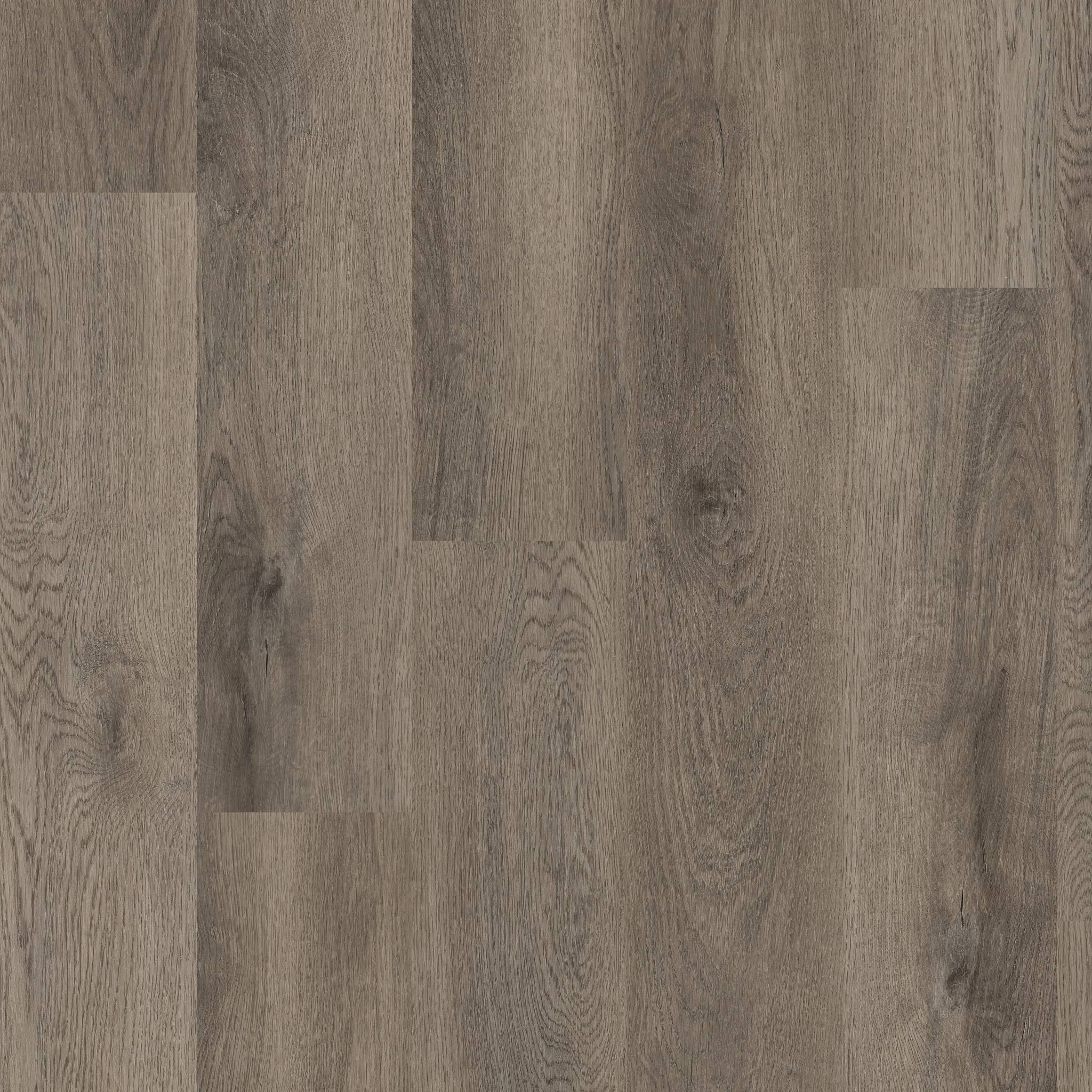 Style Coretec Pro Plus Vinyl - Elliptical Oak Swatch
