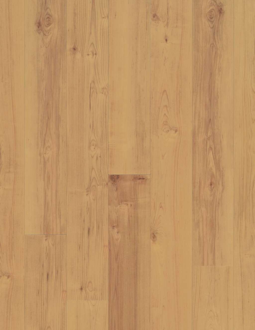 Coretec Originals Classics Vv023 Vinyl - Norwegian Maple  Swatch Image 