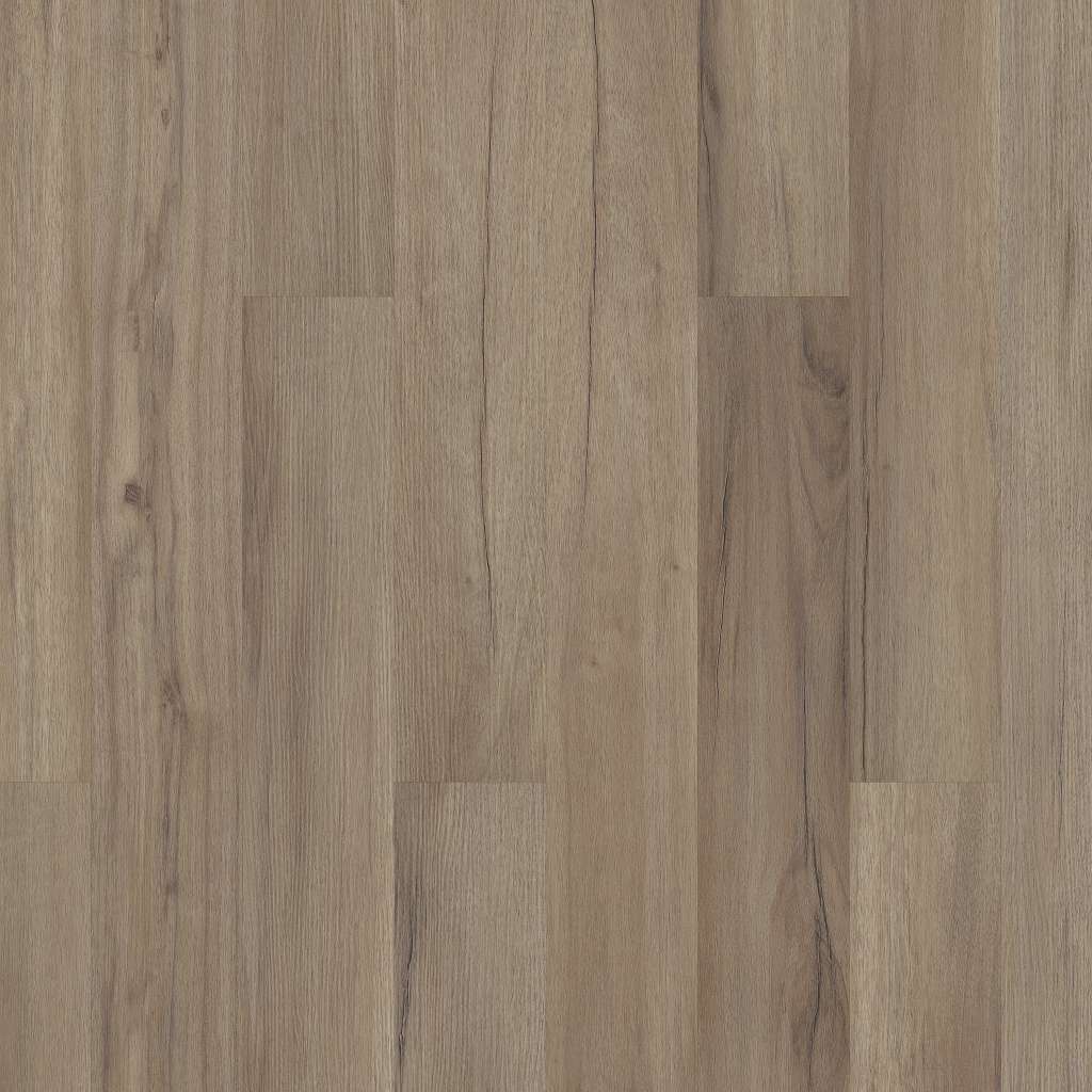 Coretec Originals Classics Vv023 Vinyl - Baywood Oak  Swatch Image 