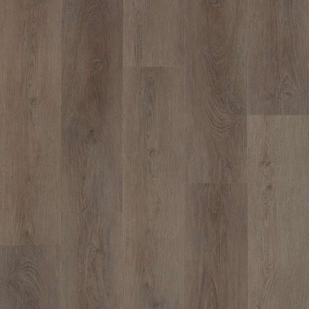 Coretec Originals Classics Vv024 Vinyl - Eastwell  Oak  Swatch Image 