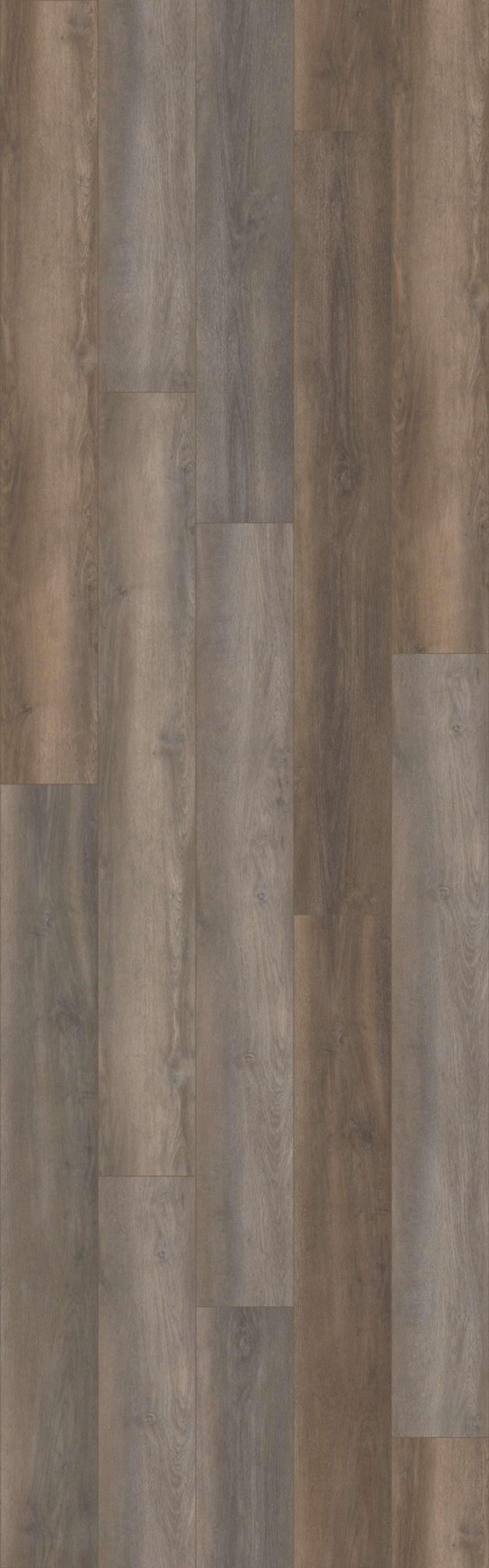 Coretec Originals Premium Vv457 Vinyl - Grandure Oak  Swatch Image 