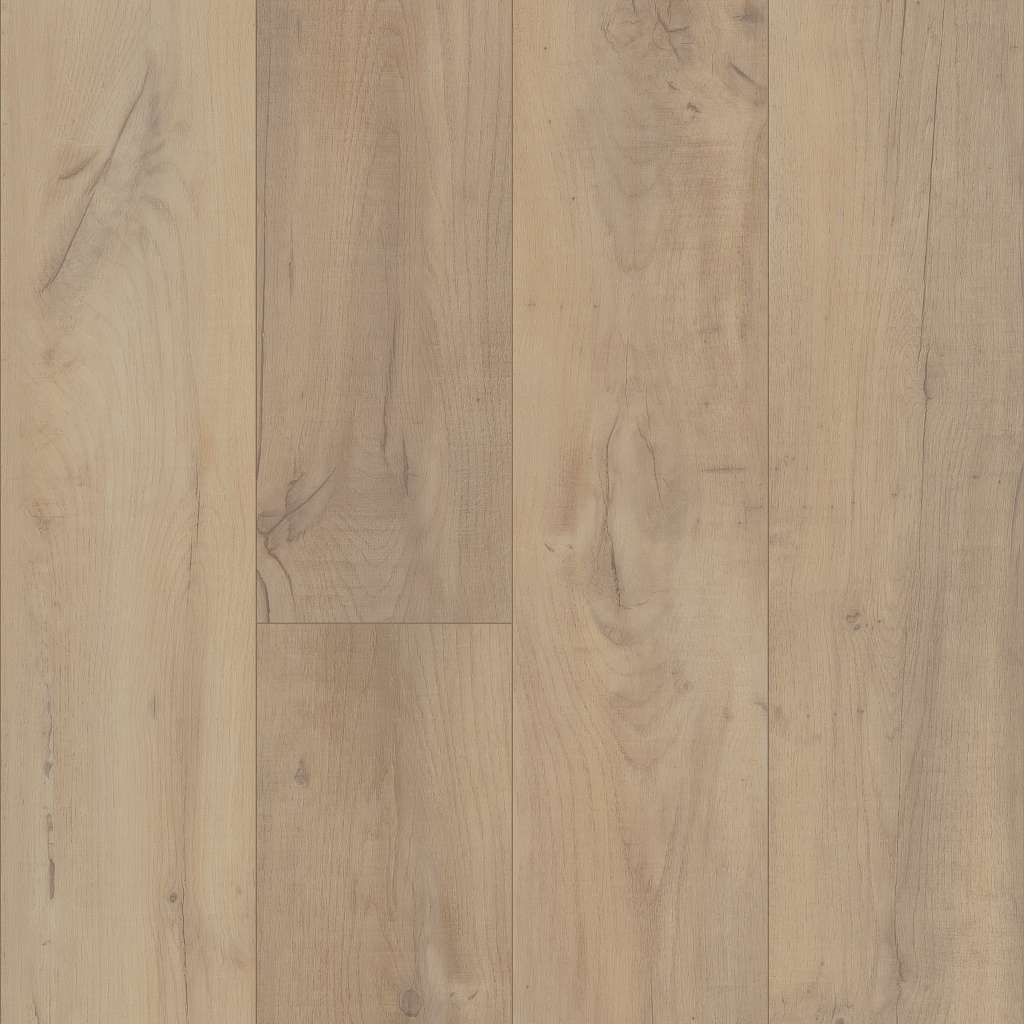 Coretec Originals Premium Vv458 Vinyl - Noble Oak  Swatch Image 