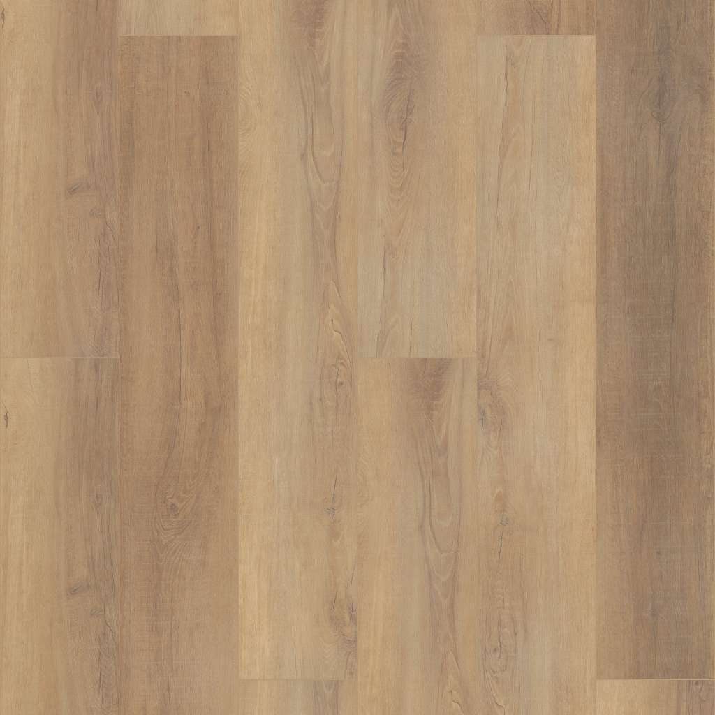 Coretec Pro Enhanced Vv488 Vinyl - Canterbury Elm  Swatch Image 