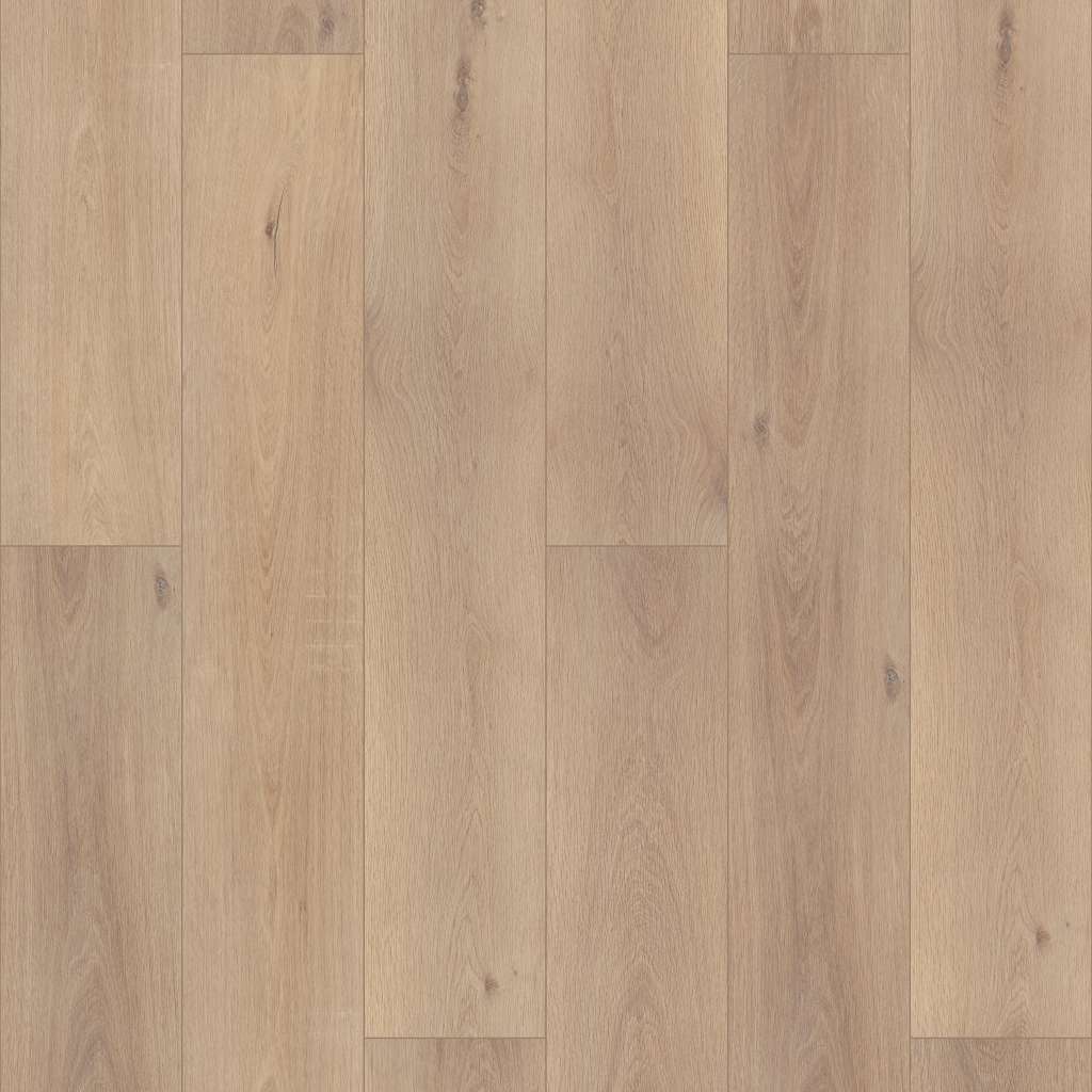 Coretec Pro Enhanced Vv488 Vinyl - Ravenswood Oak  Swatch Image 