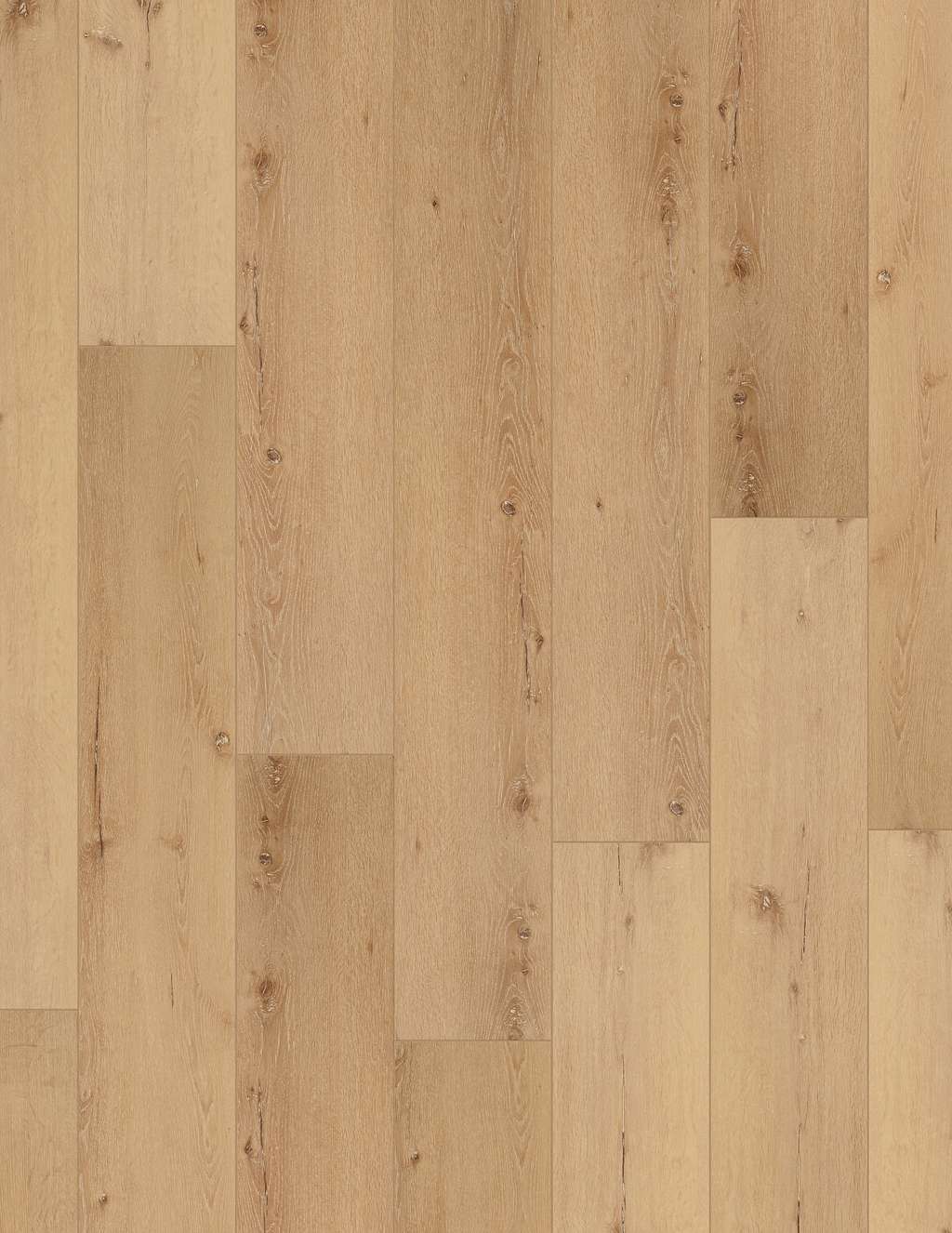 Coretec Pro Enhanced Vv491 Vinyl - Cairo Oak  Swatch Image 