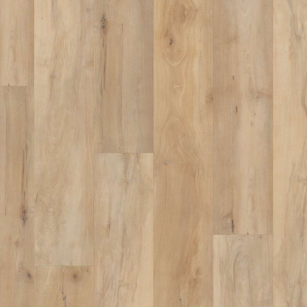 Coretec Pro Premium Vv800 Vinyl - Brookfield Maple  Swatch Image 