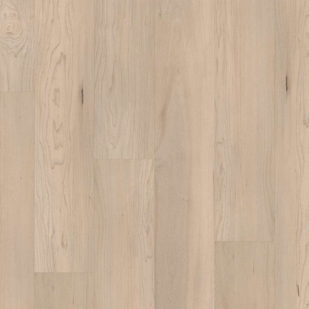 Coretec Pro Premium Vv800 Vinyl - Norfolk Maple  Swatch Image 