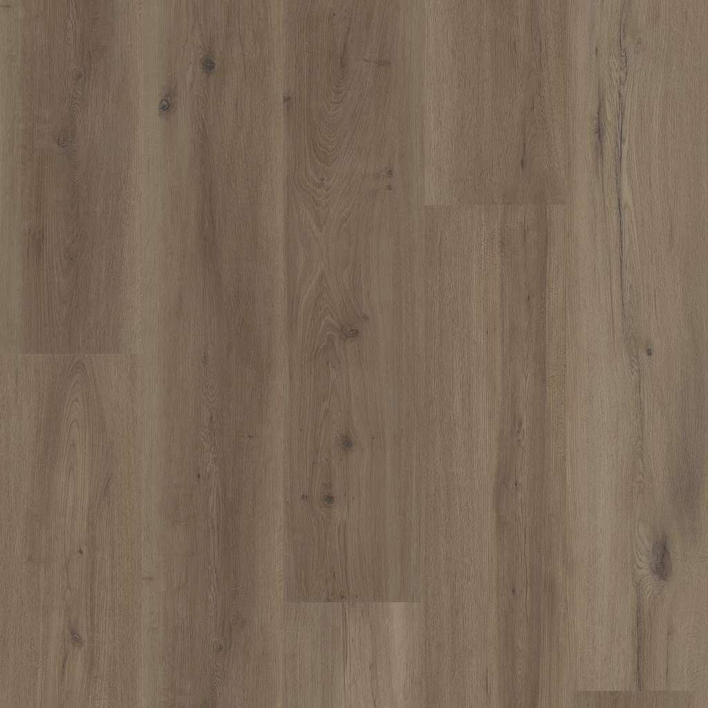 Coretec Originals Premium Vv810 Vinyl - Mist Oak  Swatch Image 