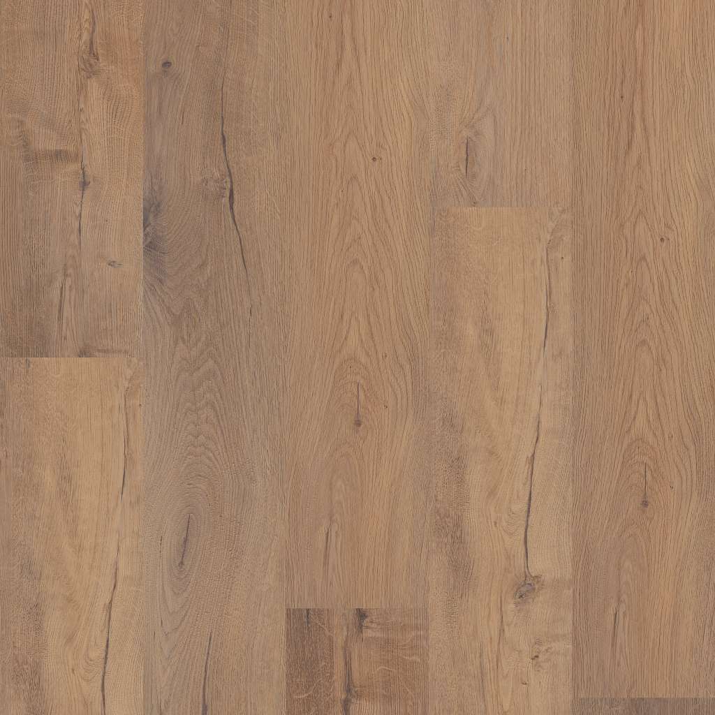 Coretec Originals Premium Vv810 Vinyl - Sand Dollar Oak  Swatch Image 