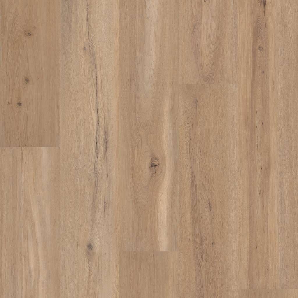 Coretec Originals Premium Vv810 Vinyl - Blonde Oak  Swatch Image 