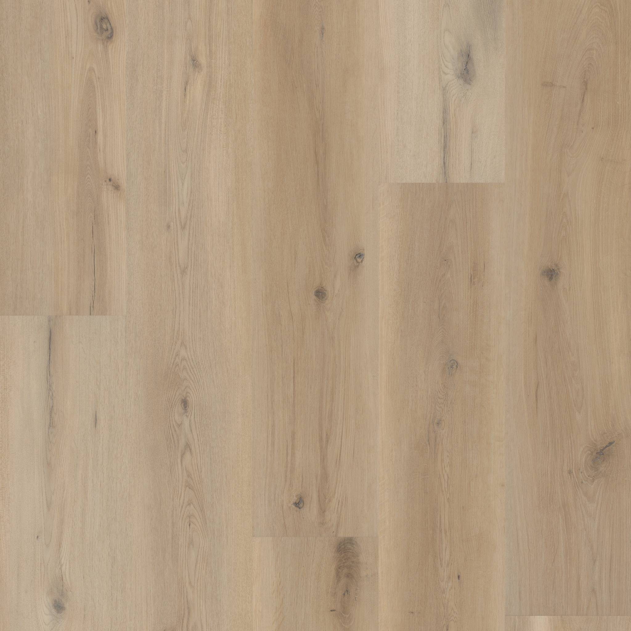 Style Coretec Originals Premium Vv810 Vinyl - Sea Salt Oak Swatch