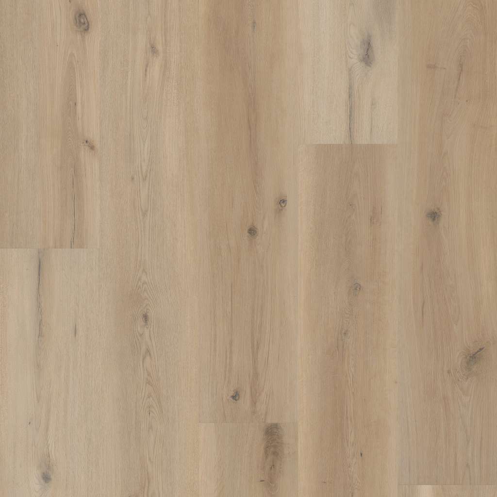 Coretec Originals Premium Vv810 Vinyl - Sea Salt Oak  Swatch Image 