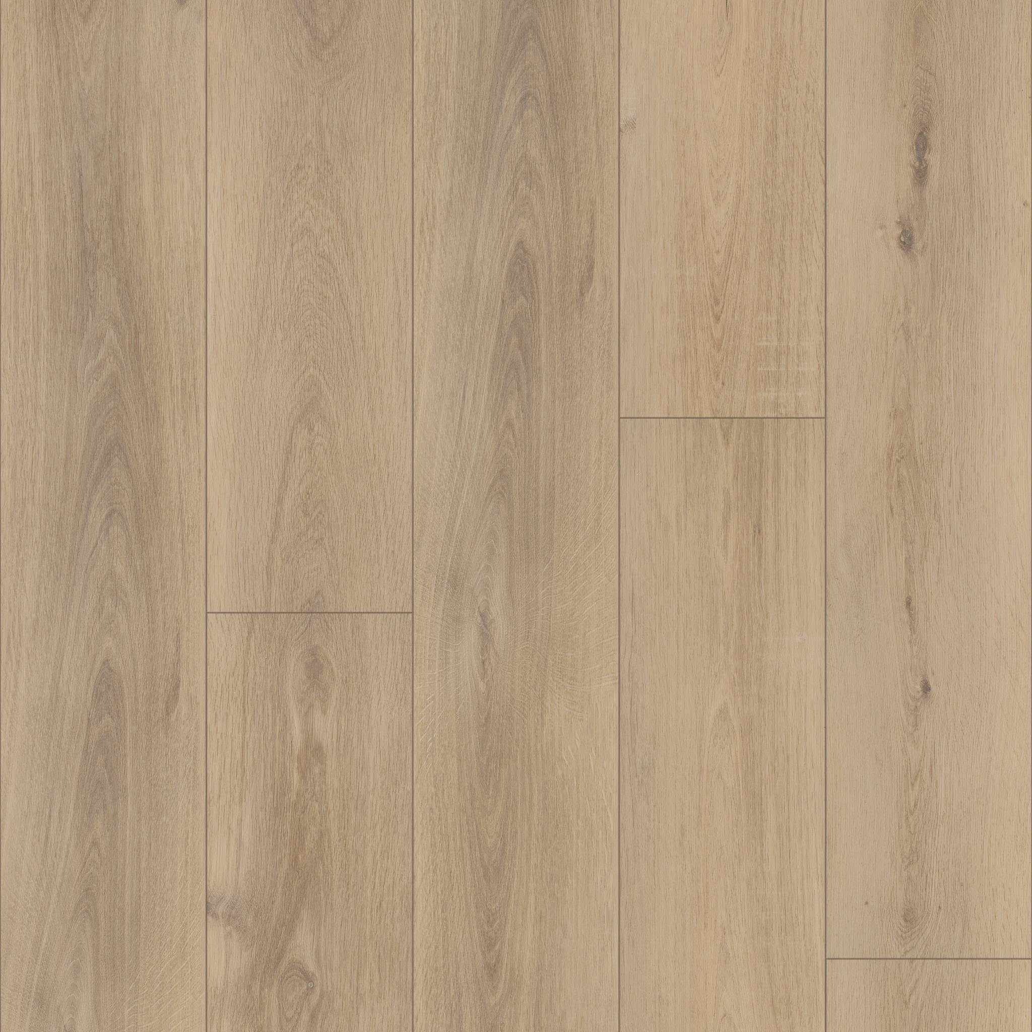 Style Coretec Pro Premium Vv968 Vinyl - Ravenswood Oak Swatch