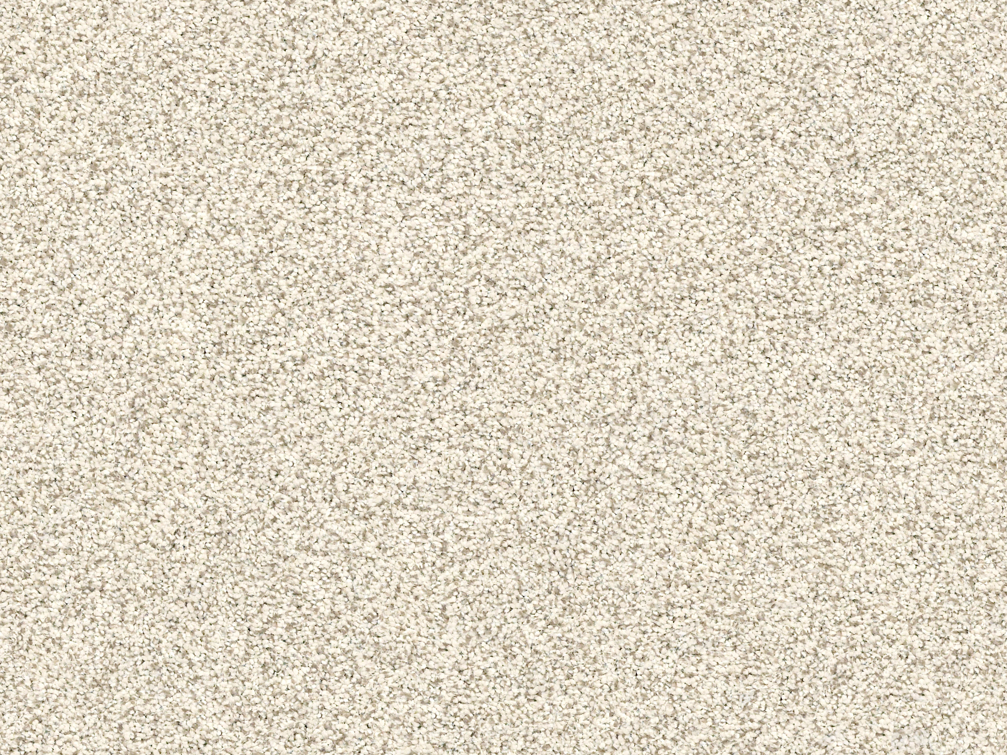 Serenity Cove Carpet - Misty Dawn Zoomed Swatch Image