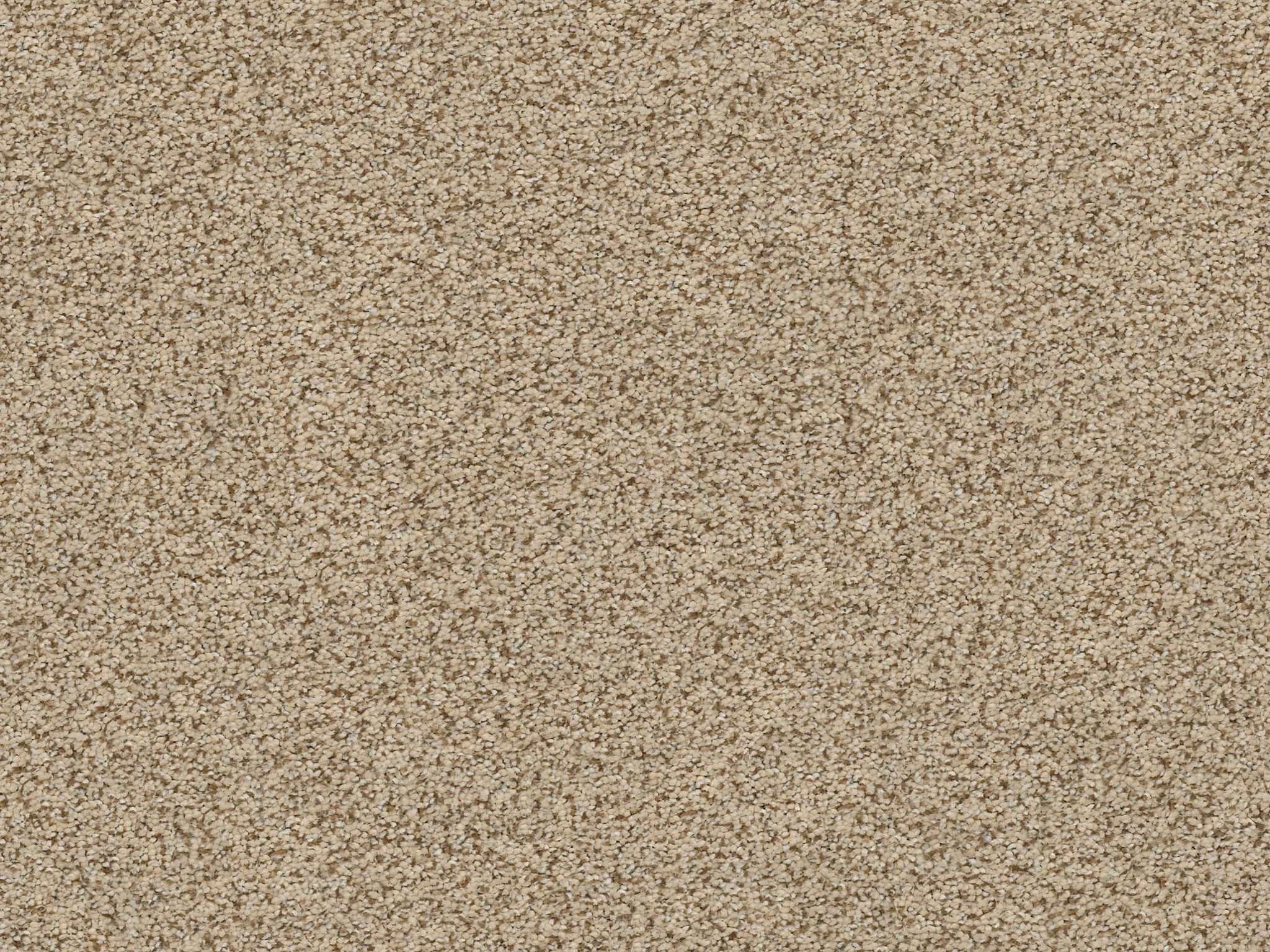 Serenity Cove Carpet - Sugar Cookie Zoomed Swatch Image