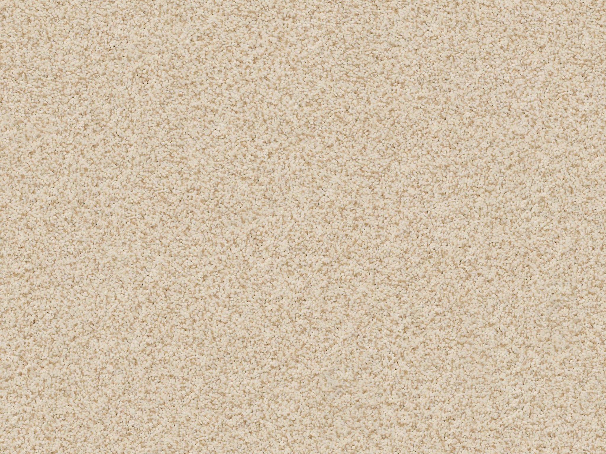 Serenity Cove Carpet - Windswept Zoomed Swatch Image