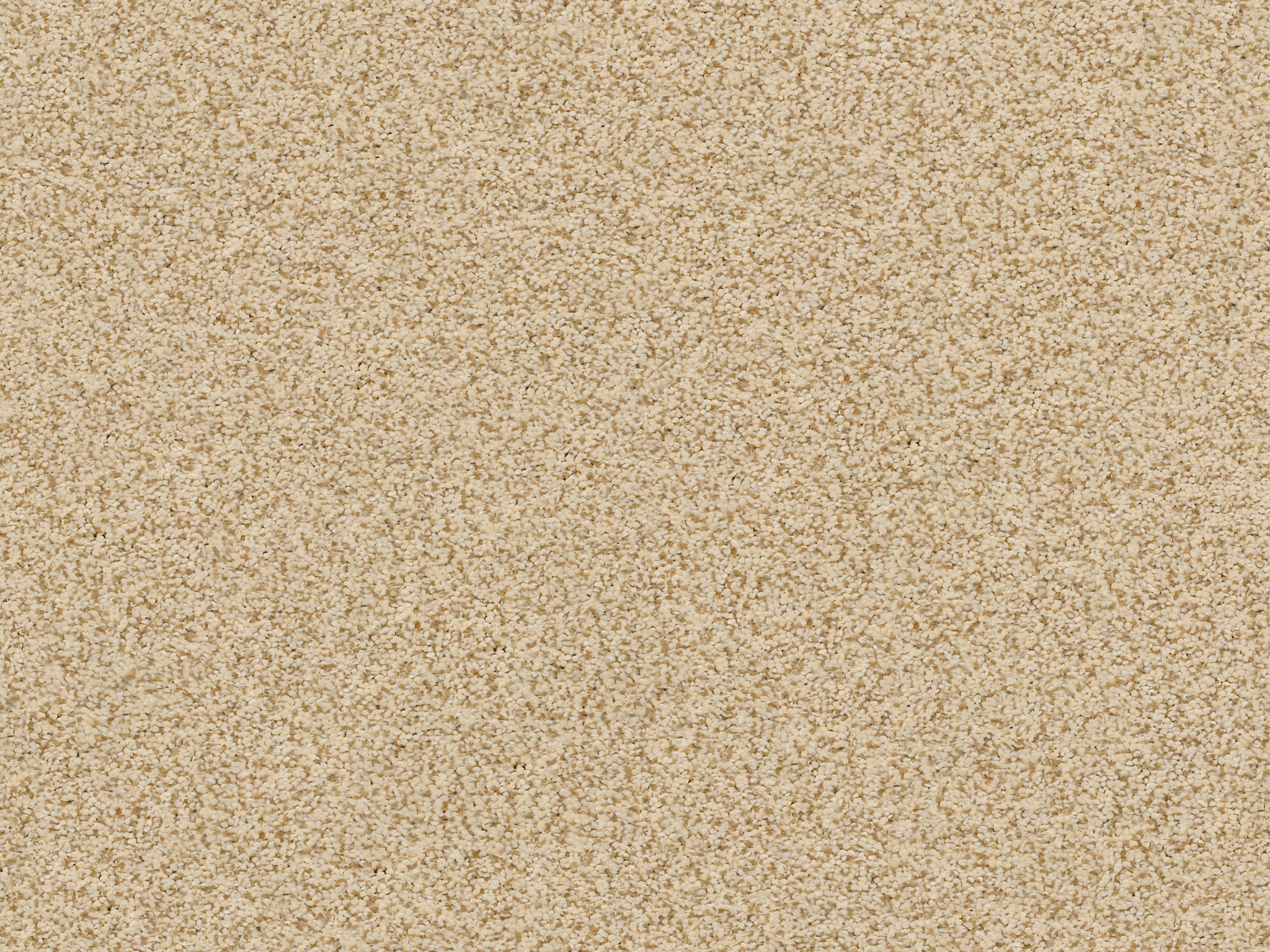 Serenity Cove Carpet - Golden Zoomed Swatch Thumbnail