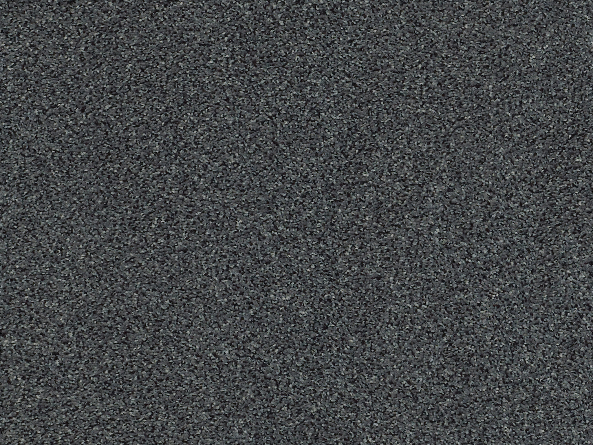 Serenity Cove Carpet - Chic Gray Zoomed Swatch Image