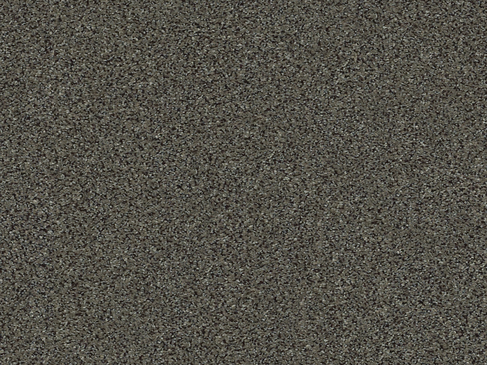 Serenity Cove Carpet - Aluminum Zoomed Swatch Thumbnail