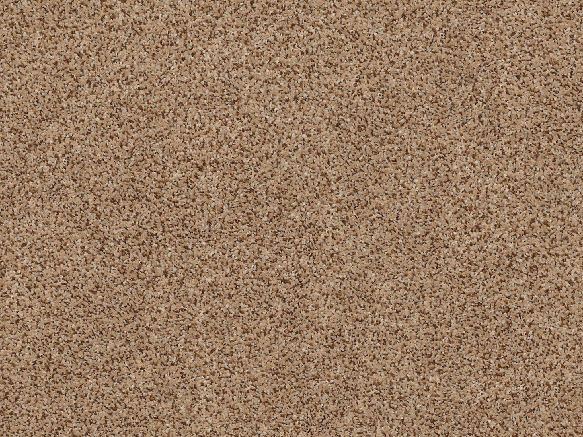 Serenity Cove Carpet - Desert View Zoomed Swatch Thumbnail