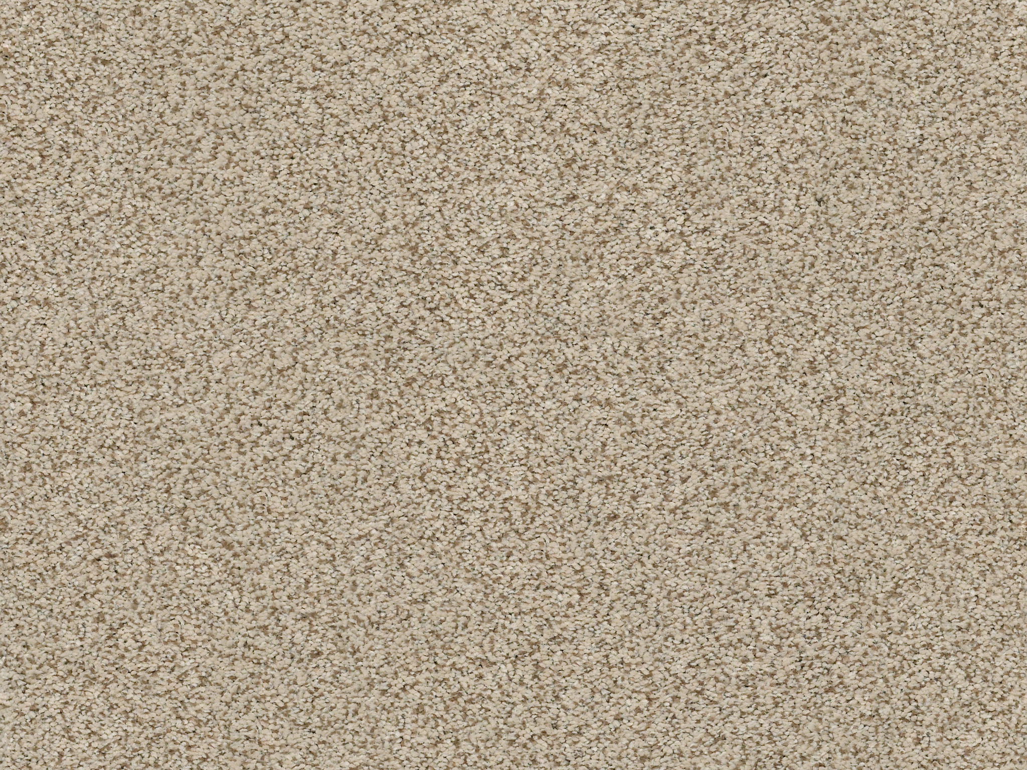 Serenity Cove Carpet - Meditation Zoomed Swatch Thumbnail